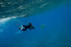 Scooter fun snorcel tour in schildpaddengebied