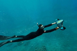 Scooter fun snorcel tour in schildpaddengebied