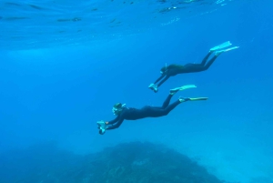 Scooter fun snorcel tour in schildpaddengebied