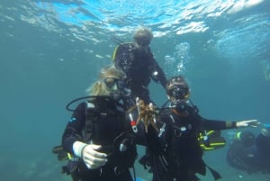  Scuba Dive for Beginners