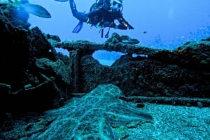 Duiktrips voor gecertificeerde duikers op Tenerife