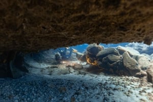 Duiktrips voor gecertificeerde duikers op Tenerife