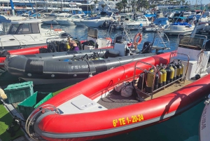 Duiktrips voor gecertificeerde duikers op Tenerife