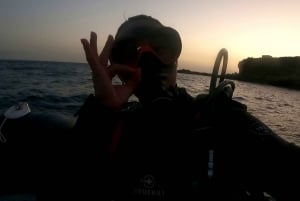 Scuba Night Dive for certified divers in Tenerife