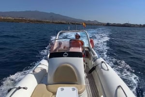 'Seaside Bliss: Boat, Snorkel, Sun, Sip, Snack Delights'