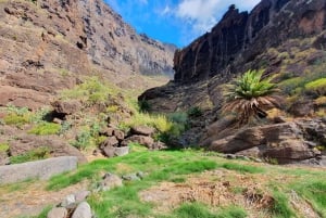 Caminhada guiada Barranco de Masca + barco para Los Gigantes