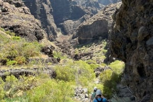 Caminhada guiada Barranco de Masca + barco para Los Gigantes