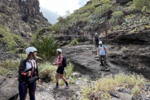 Caminhada guiada Barranco de Masca + barco para Los Gigantes