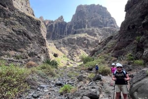 Caminhada guiada Barranco de Masca + barco para Los Gigantes