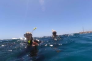 Snorkeing in tenerife sur: Discovering the underwater world