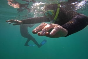 Snorkeing in tenerife sur: Discovering the underwater world