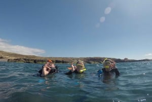 Snorkeing in tenerife sur: Discovering the underwater world