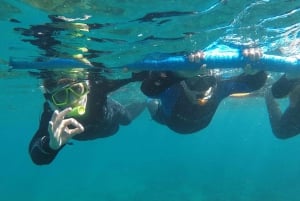 Snorkeing in tenerife sur: Discovering the underwater world