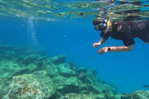 Snorkeling Boat Trip in Marine Turtles Natural Habitat