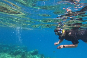 Snorkeling Boat Trip in Marine Turtles Natural Habitat