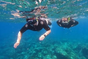 Snorkeling Boat Trip in Marine Turtles Natural Habitat