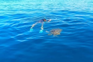 Snorkeling in a Volcanic Bay