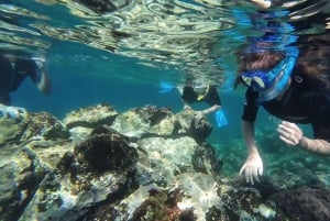 Schnorcheln in einer vulkanischen Bucht