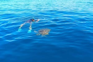 Schnorcheln in einer vulkanischen Bucht