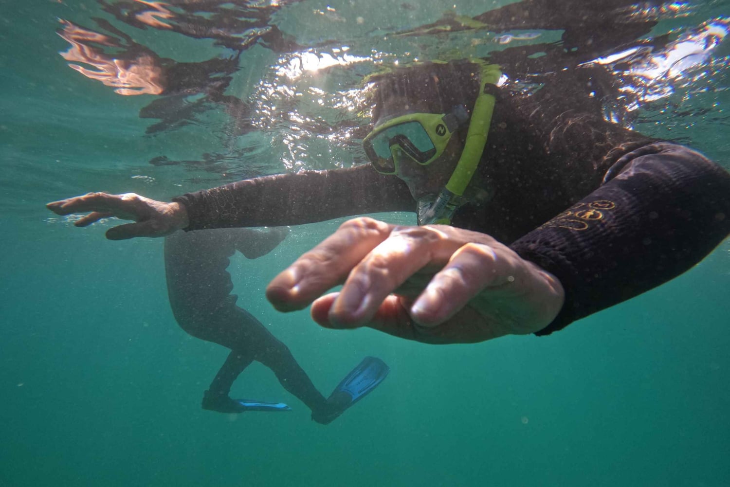 Plongée en apnée à Ténérife Sud : Découvrez le monde sous-marin