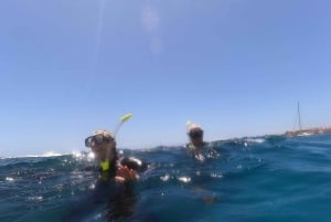 Plongée en apnée à Ténérife Sud : Découvrez le monde sous-marin