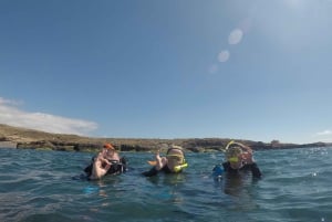 Plongée en apnée à Ténérife Sud : Découvrez le monde sous-marin