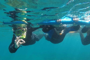 Plongée en apnée à Ténérife Sud : Découvrez le monde sous-marin