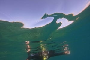 Plongée en apnée à Ténérife Sud : Découvrez le monde sous-marin