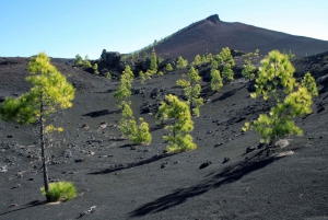 South  Full-Day Volcano Tour