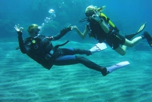 South Tenerife: Beginners Scuba Diving Experience