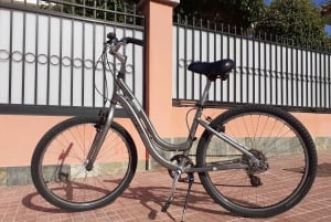 South Tenerife: Bike Rental with Hotel Delivery