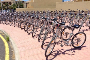 South Tenerife: Bike Rental with Hotel Delivery