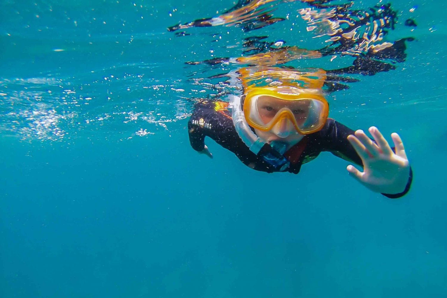 South Tenerife: Guided Snorkeling