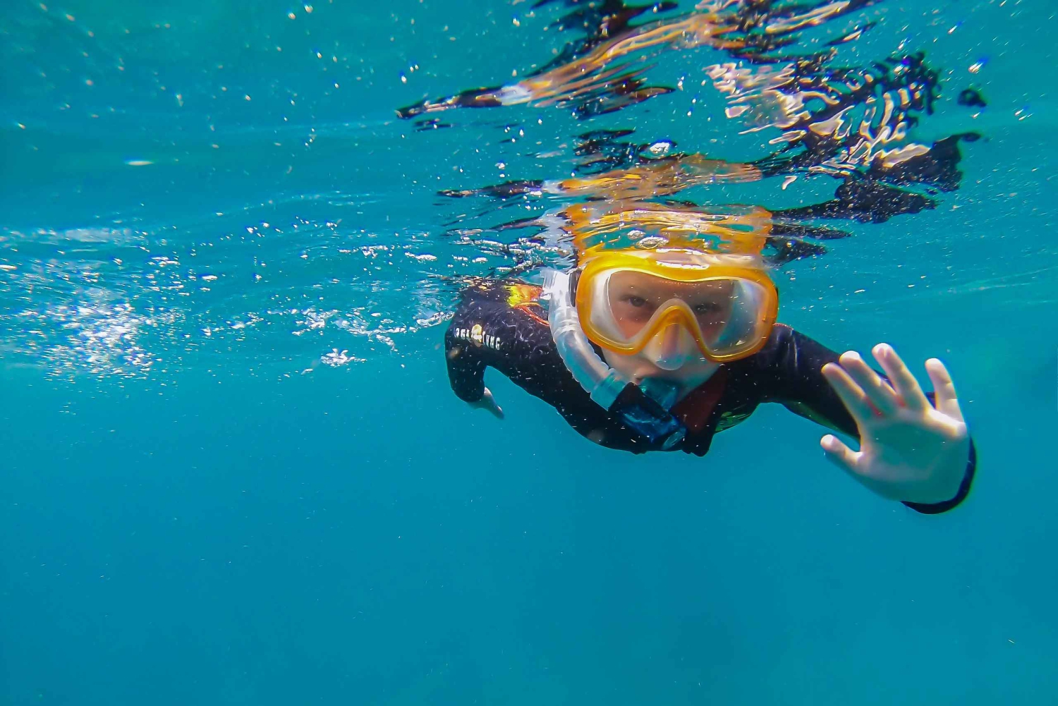 Tenerife Sur: Snorkel guiado