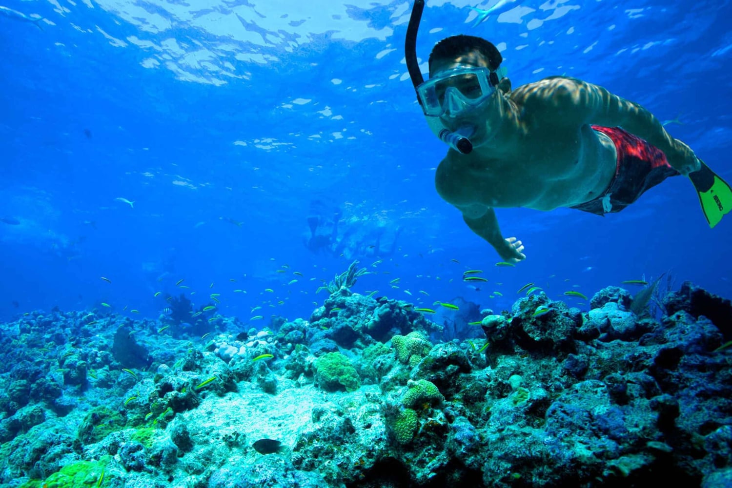 Tenerife Sur: Snorkel guiado