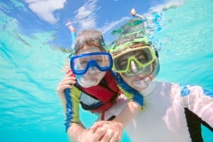 Tenerife Sur: Snorkel guiado