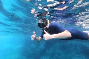 Tenerife Sur: Snorkel guiado