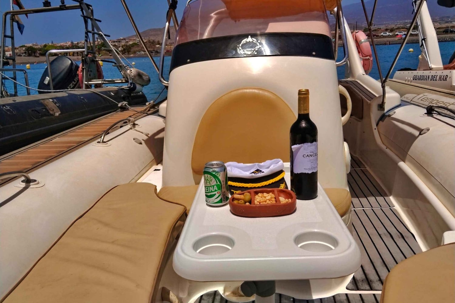 Södra Teneriffa: privat tur för att se valar och delfiner