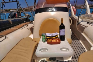 Södra Teneriffa: privat tur för att se valar och delfiner