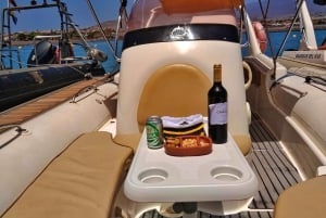 Södra Teneriffa: privat tur för att se valar och delfiner