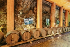 Tacoronte: Guided Winery Tour with Wine and Cheese Tastings