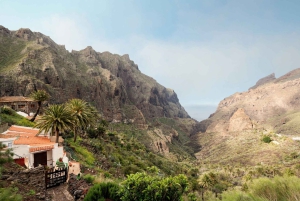 Wycieczka na Teide i do Masca z południowej Teneryfy