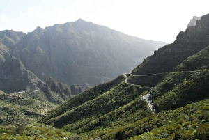 Wycieczka na Teide i do Masca z południowej Teneryfy