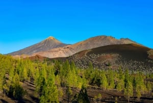 Wycieczka na Teide i do Masca z południowej Teneryfy