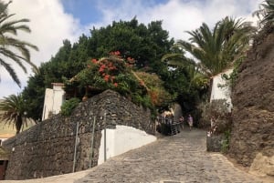 Tenerife: Excursión de un día al Teide, Masca, Icod y Garachico