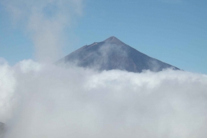 Teide and South Tenerife Guided Tour