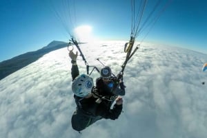 Puerto de la Cruz Teneriffa: Teide Paragliding Flight