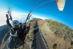 Puerto de la Cruz Teneriffa: Teide Paragliding Flight