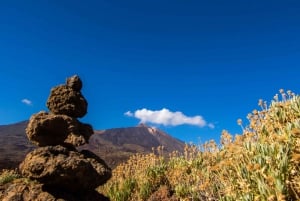 Teide: Guided Sunset and Stargazing Tour with Dinner