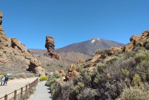  Teide Mountain and North of the Island Tour